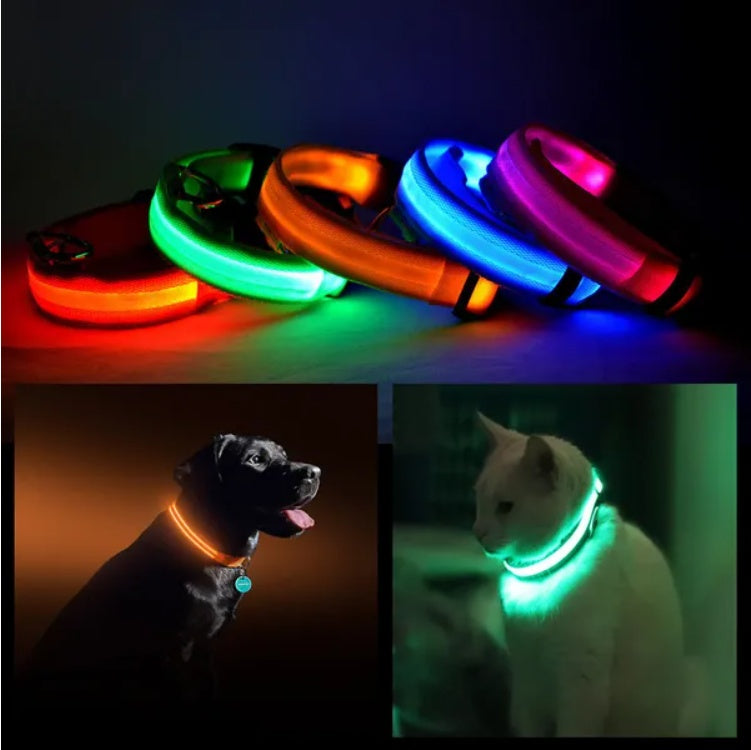 LED Safety Halo Collar