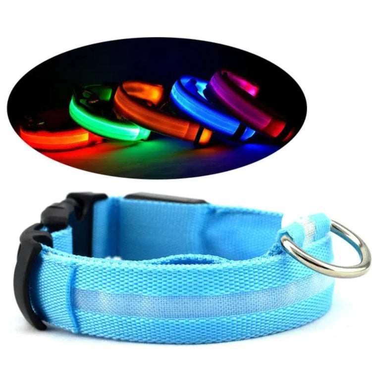 LED Safety Halo Collar