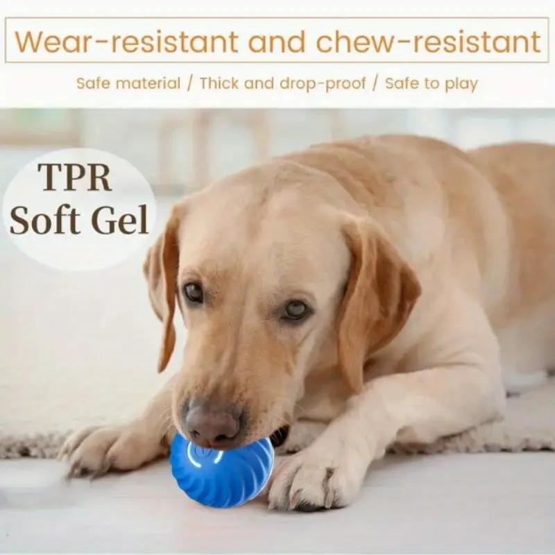Pet Bouncing Ball