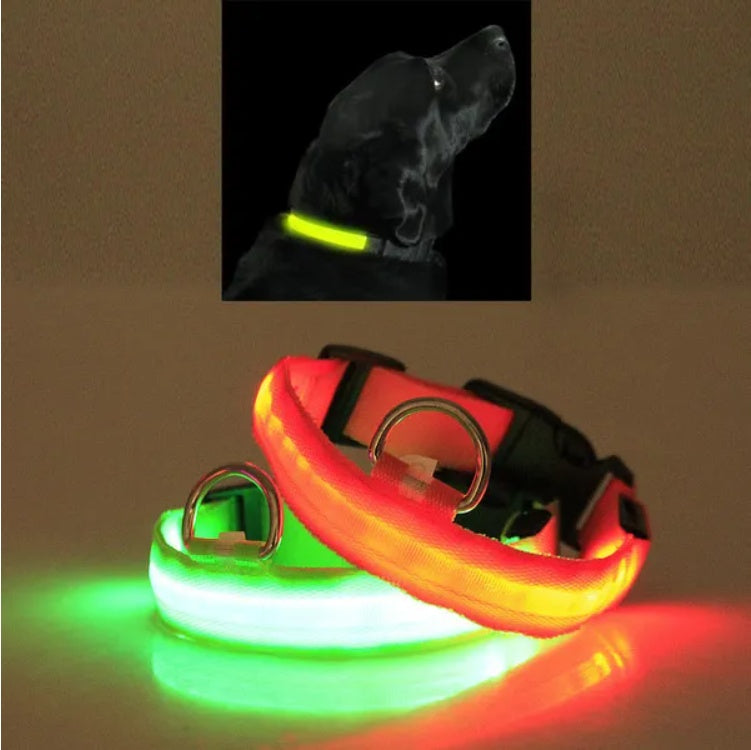 LED Safety Halo Collar