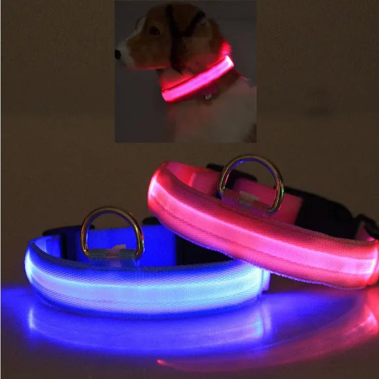 LED Safety Halo Collar