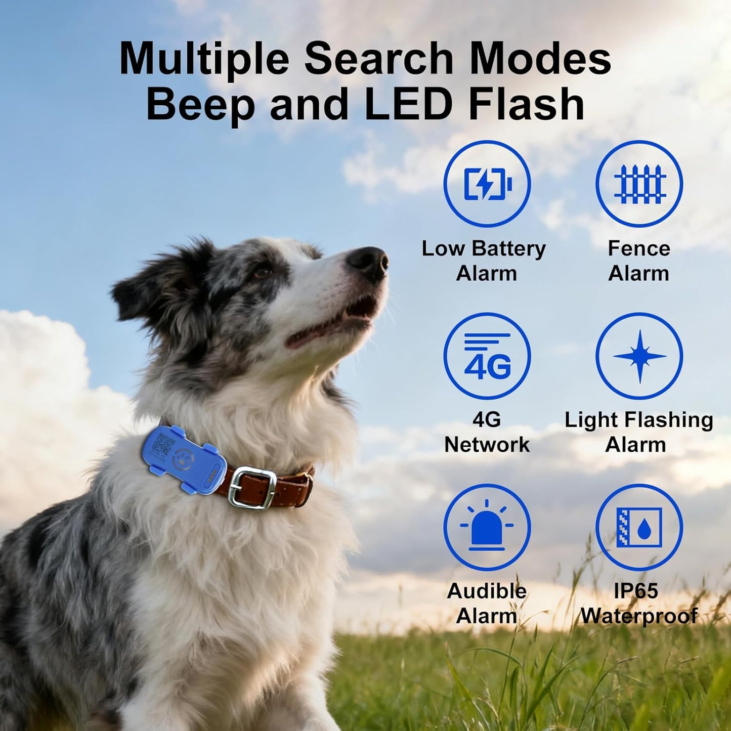 Dog GPS Tracker