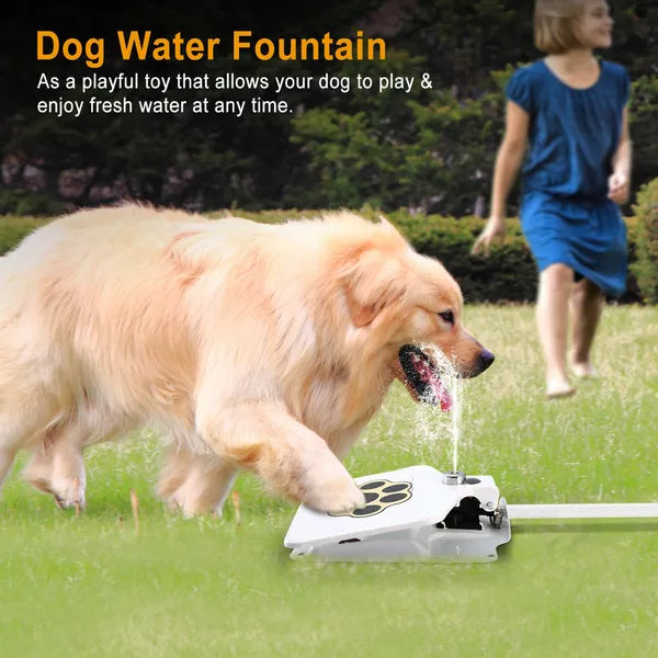 Step-On Dog Water Fountain