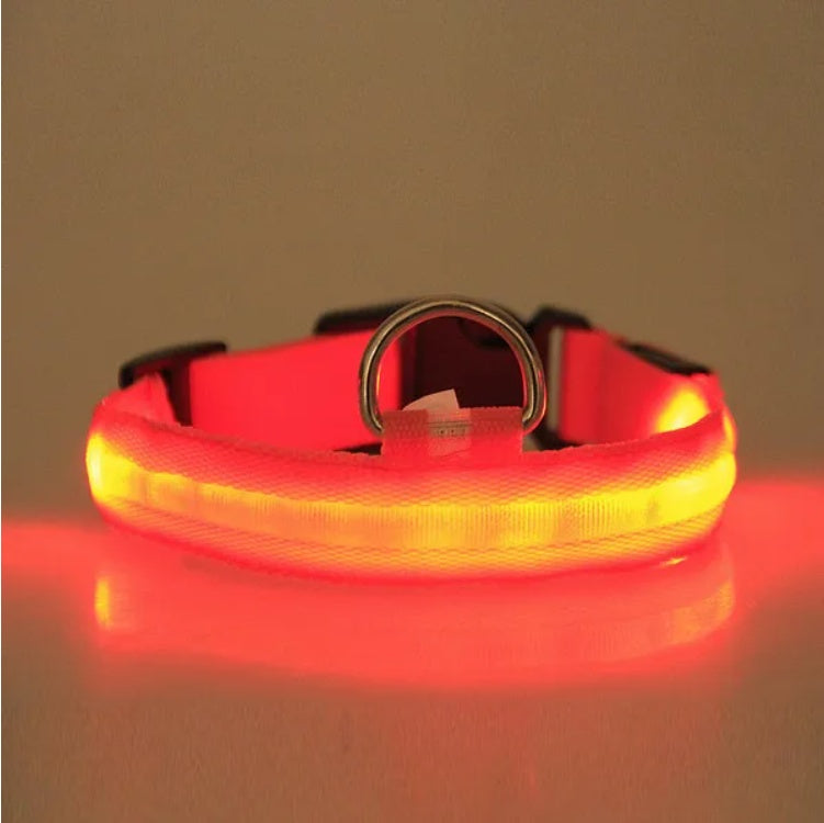 LED Safety Halo Collar