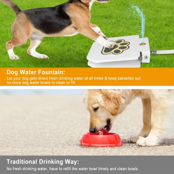 Step-On Dog Water Fountain