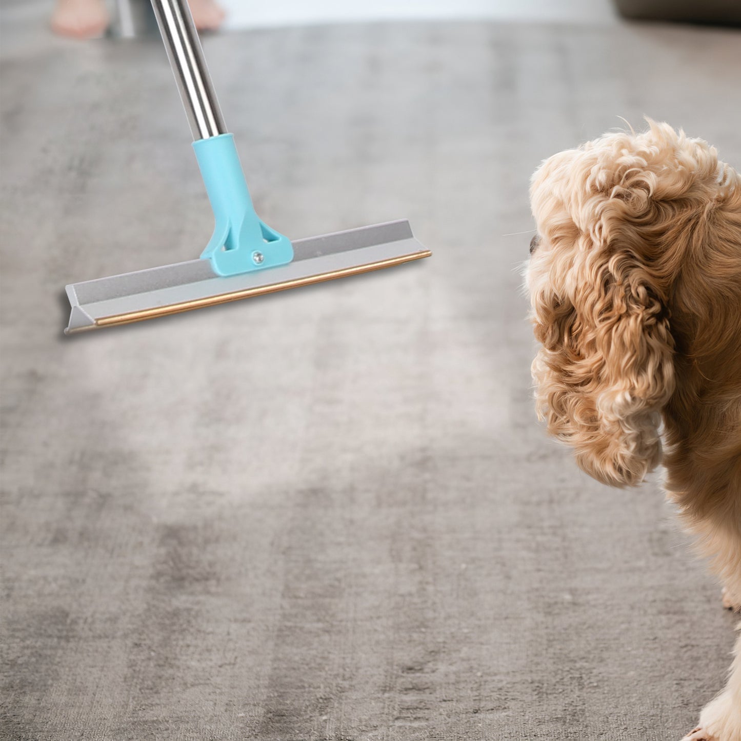 Telescopic Pet Hair Removal Rake