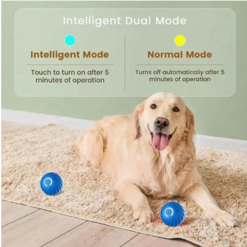 Pet Bouncing Ball